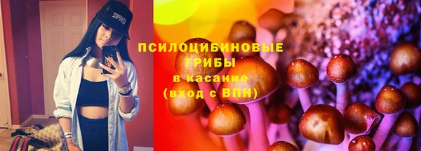 a pvp Надым