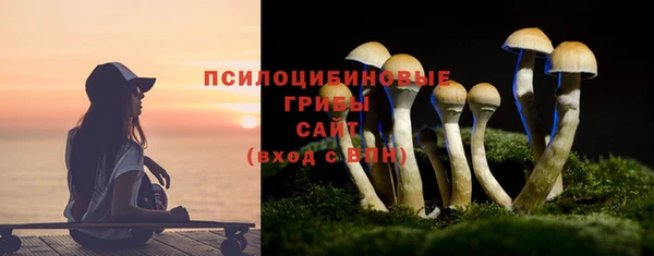МДПВ Навашино