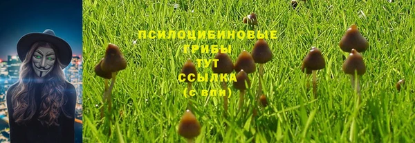 a pvp Надым