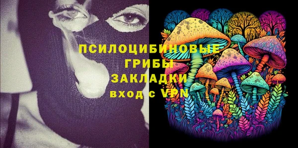 МДПВ Навашино