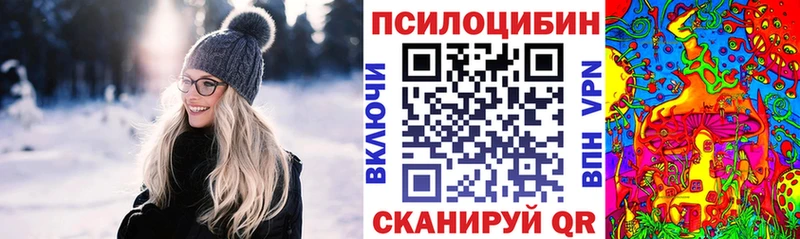 Псилоцибиновые грибы Psilocybe  купить  цена  Балтийск 