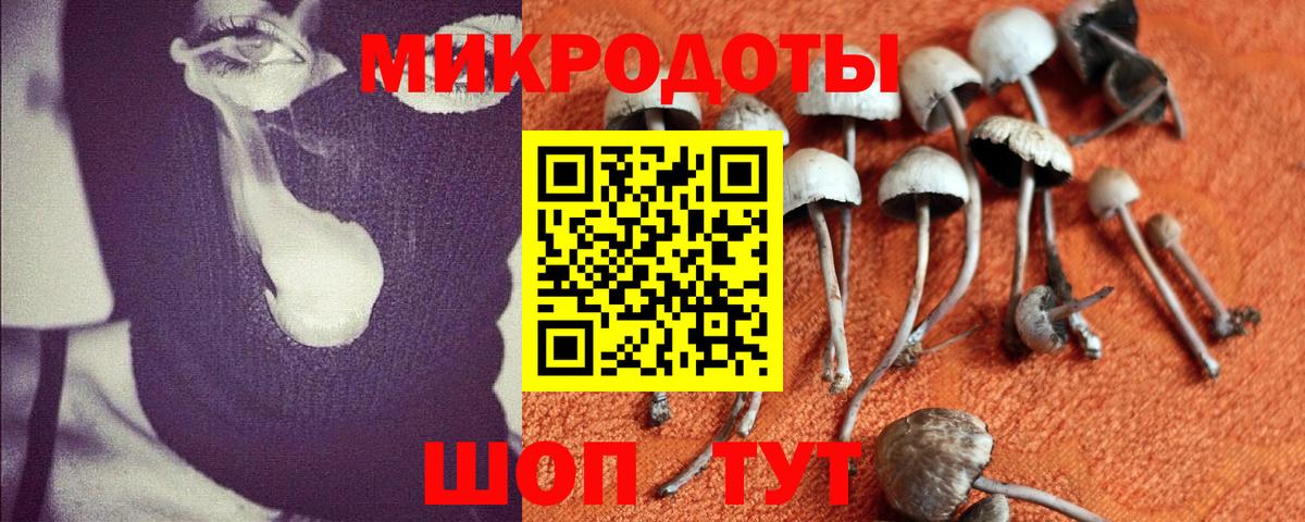 магазин продажи наркотиков  Галлюциногенные грибы MAGIC MUSHROOMS  Вход с VPN  Балтийск 