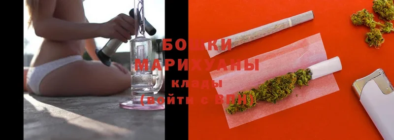 Каннабис SATIVA & INDICA  Балтийск 